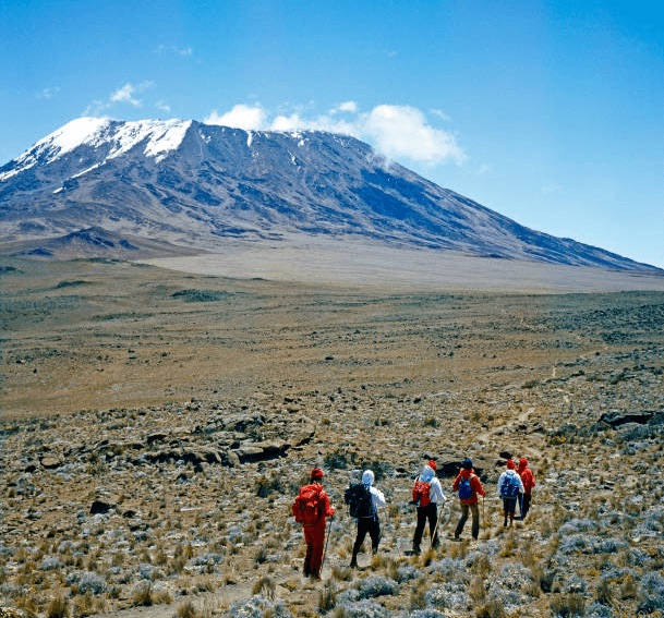 Mount Kilimanjaro landscape